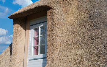 Tetcott thatch roof disadvantages