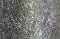 Tetcott fibreglass roof work